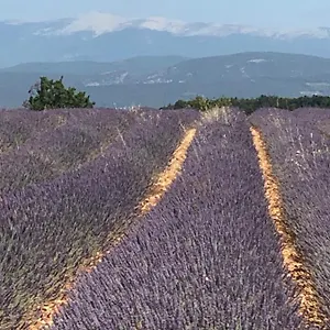 Apartment Provence Luberon Location Chez Marcelle, Bonnieux